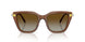 1067T5 - Brown - Gradient Brown Polar