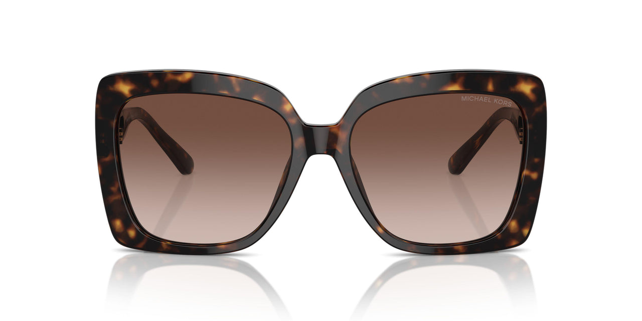 300613 - Tortoise - Brown Gradient
