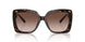 300613 - Tortoise - Brown Gradient