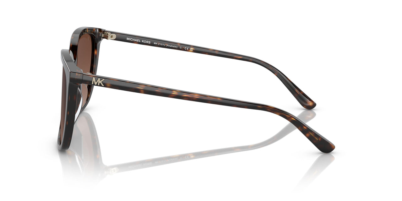 3006T5 - Havana - Brown Gradient Polar