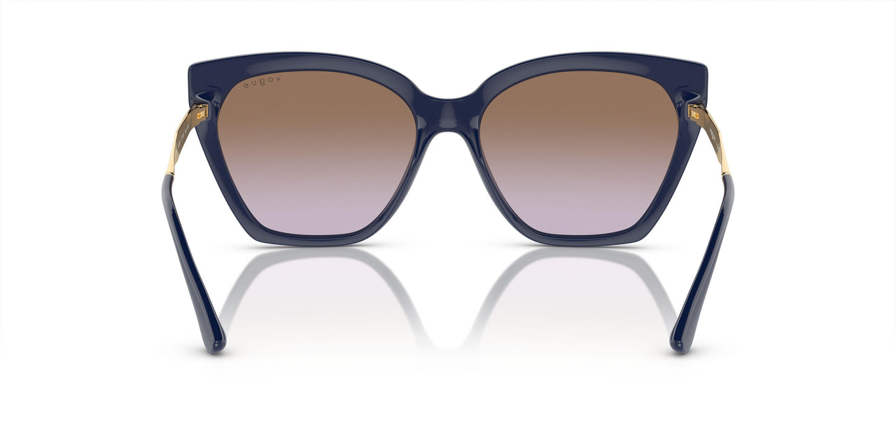 310268 - Violet - Violet Gradient Brown