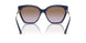 310268 - Violet - Violet Gradient Brown