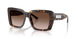 500213 - Tortoise - Brown Gradient