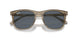 6765R5 - Brown - Blue