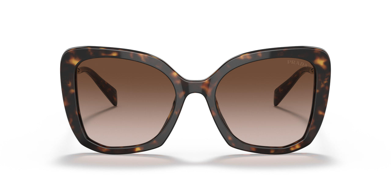 2AU6S1 - Havana - Brown Gradient