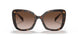 2AU6S1 - Havana - Brown Gradient