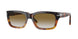 116051 - Brown - Gradient Brown