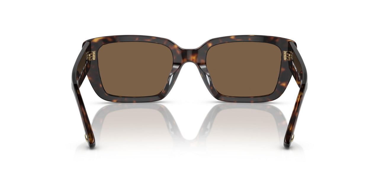 172873 - Tortoise - Dark Brown