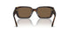 172873 - Tortoise - Dark Brown