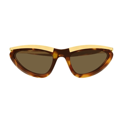 003 - Havana/Gold - Brown