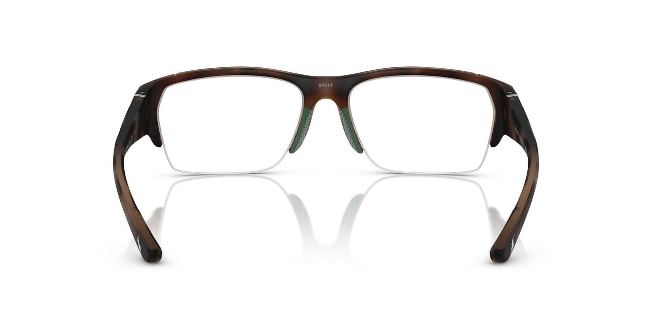 6070 - Tortoise