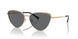 101481 - Gold - Dark Grey Solid Polar