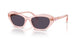 1070P5 - Pink - Pink Transition