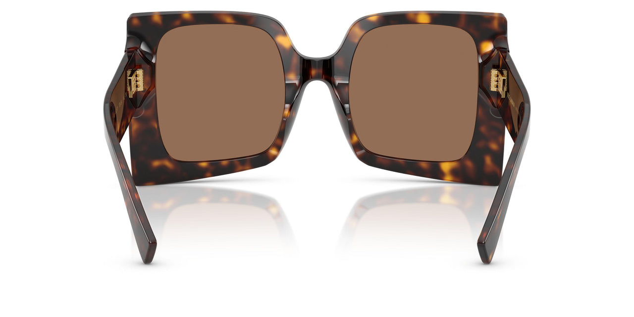 502/73 - Tortoise - Dark Brown