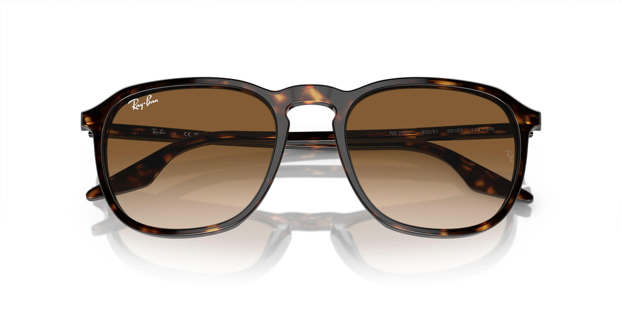 902/51 - Tortoise - Clear/brown