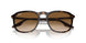 902/51 - Tortoise - Clear/brown