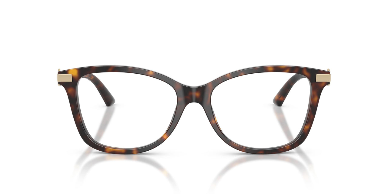 5002 - Tortoise