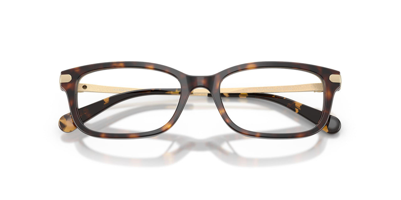 5120 - Tortoise