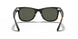 902/58 - Tortoise - Crystal Green Polarized