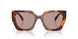 22A20I - Tortoise - Light Purple Brown
