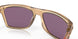 910003 - Brown - Prizm Jade