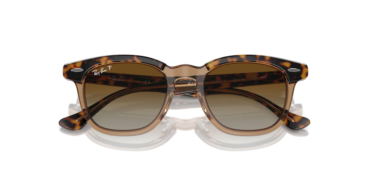7152T5 - Brown - Brown