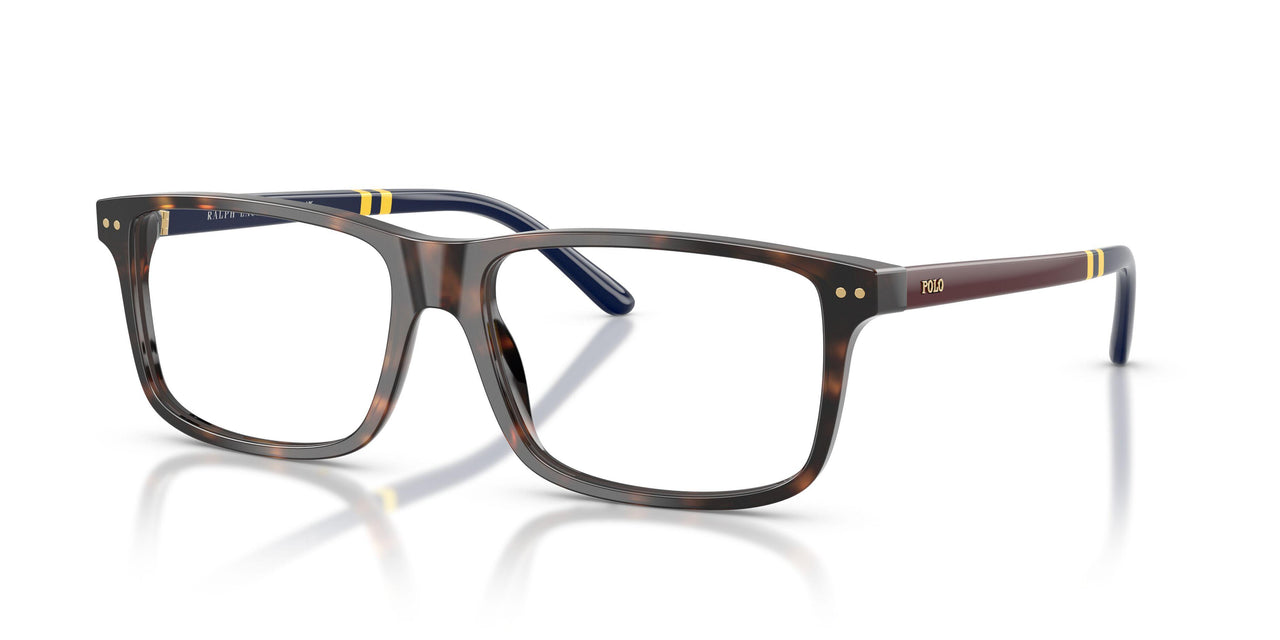 5003 - Tortoise