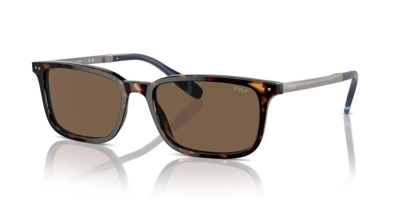 500373 - Brown - Brown