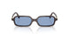 22C60O - Brown - Light Blue