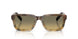 21P81B - Brown - Tundra Sfumato Bio