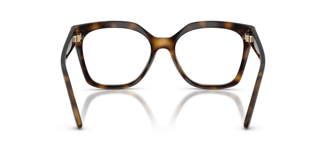 W656 - Brown