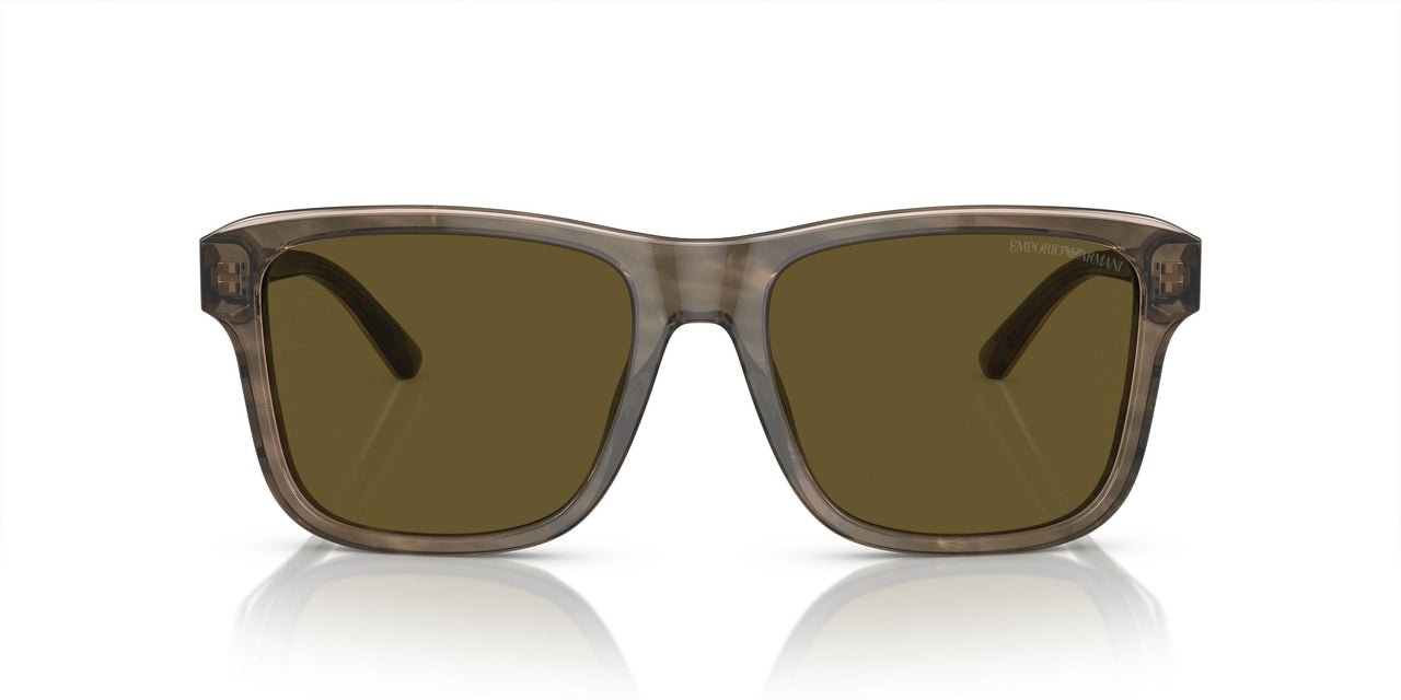 605573 - Green - Dark Brown