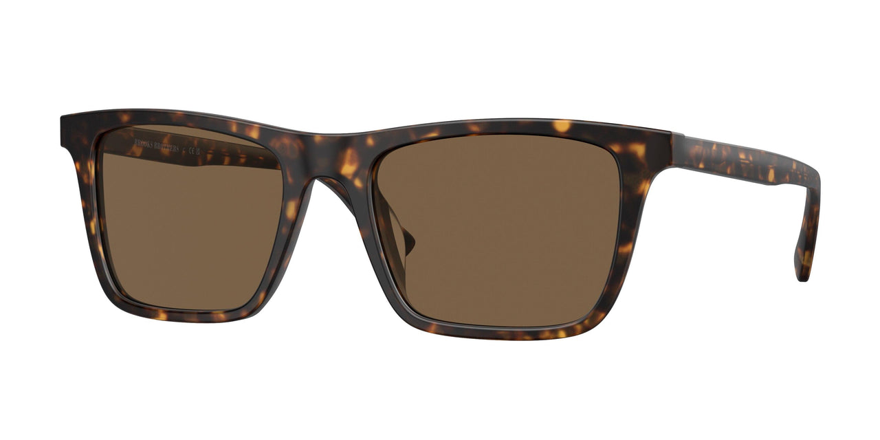 616173 - Tortoise - Dark Brown