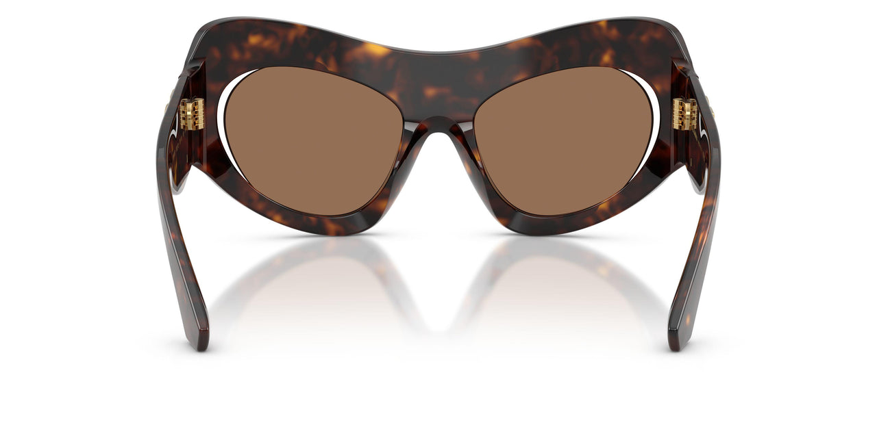 502/73 - Tortoise - Dark Brown