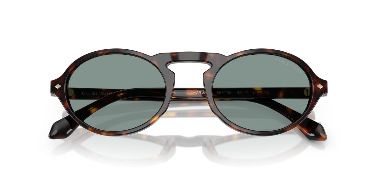 587956 - Tortoise - Grey