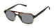 Ted Baker TMS201 Sunglasses
