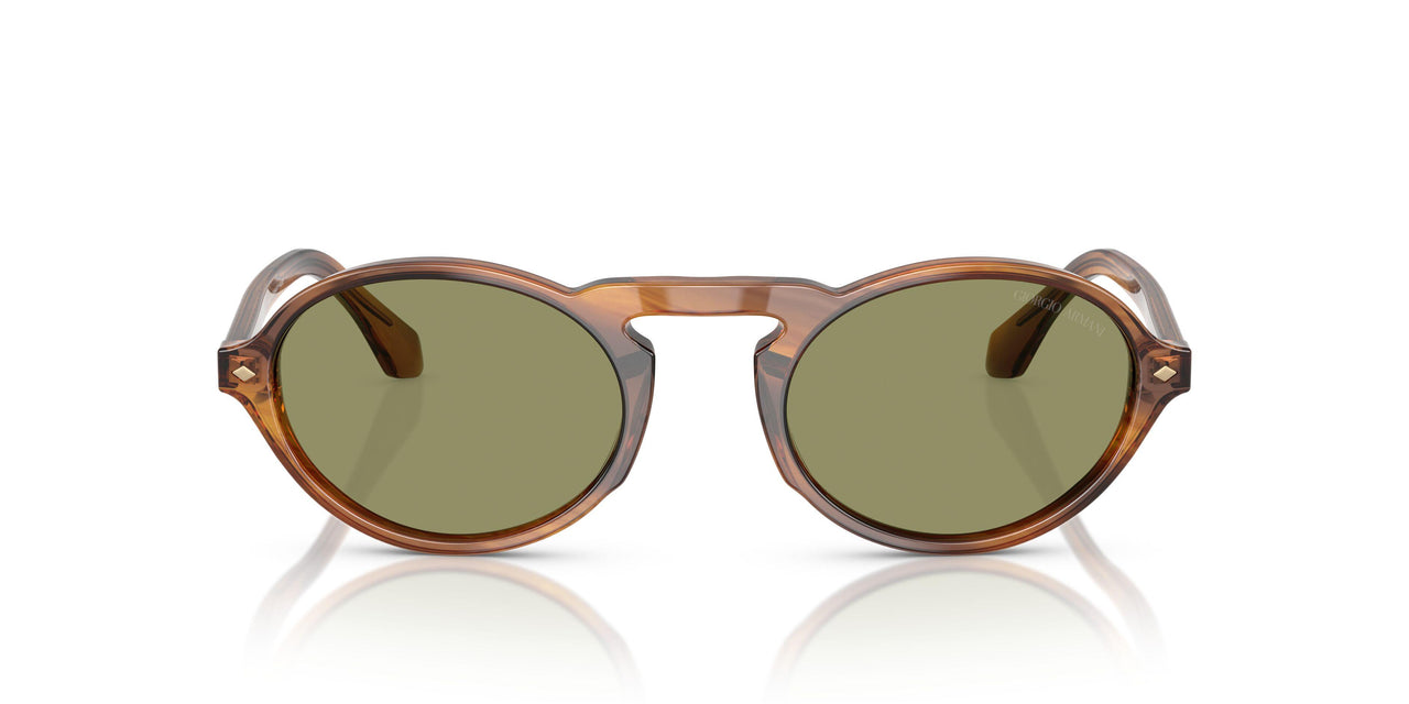 616314 - Tortoise - Green
