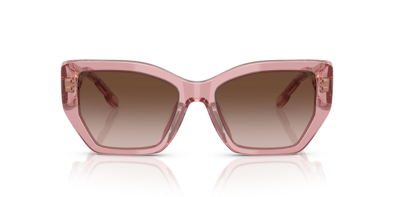 202113 - Pink - Brown Gradient