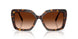 100274 - Tortoise - Brown Gradient