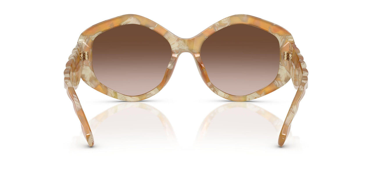 194913 - Tortoise - Brown Gradient