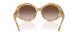 194913 - Tortoise - Brown Gradient