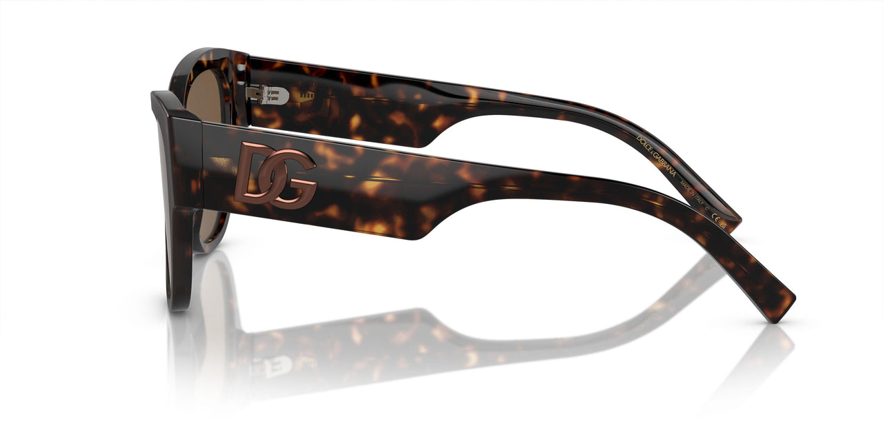 502/73 - Tortoise - Dark Brown