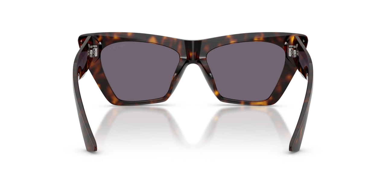 50021A - Tortoise - Violet