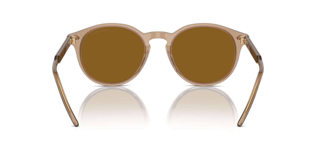 607233 - Brown - Brown