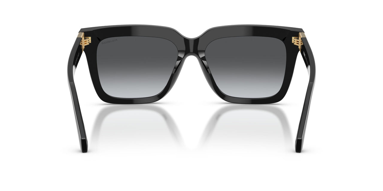 GB1/T3 - Black - Dark Grey Gradient Polar