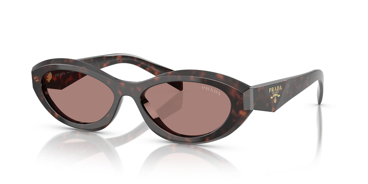 17N60B - Tortoise - Light Brown