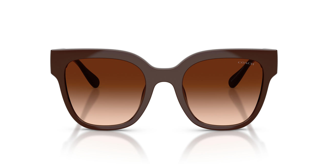 595774 - Brown - Brown Gradient