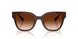 595774 - Brown - Brown Gradient