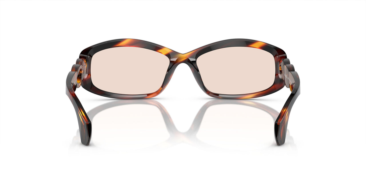 005 - Brown
