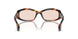 005 - Brown